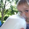 Молоко — польза и вред для здоровья организма Ли вред от молока