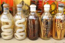 Настойка скорпиона и кобры лечебные свойства Спиртные напитки со змеями
